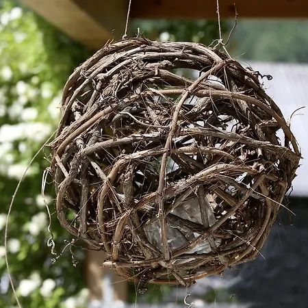 Haus Schoenblick Appartamento *