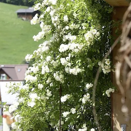 Haus Schoenblick *